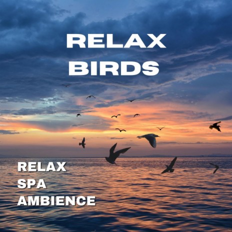 Relax Birds | Boomplay Music
