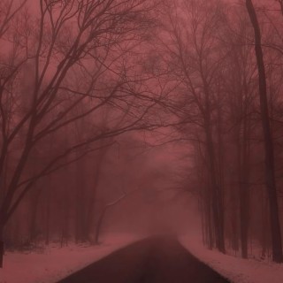 foggy winter