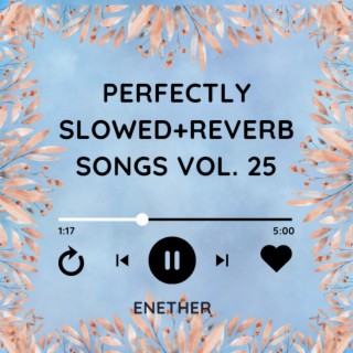 Perfectly Slowed+Reverb Songs Vol. 25
