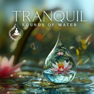 Tranquil Sounds of Water: Deep Sleep, Healing Soundscapes for Meditation, Spa, Yoga & Deep Relaxation