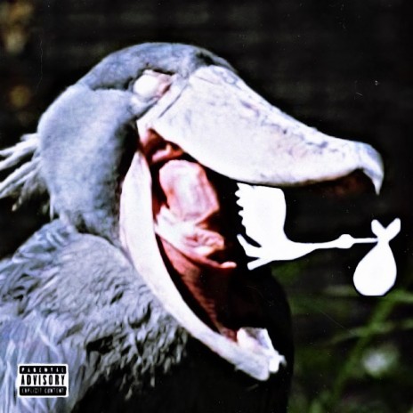 stork | Boomplay Music