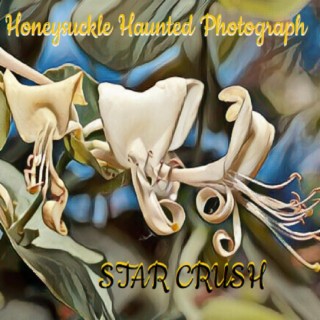 Honeysuckle Haunted Photograph lyrics | Boomplay Music