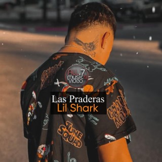 Las Praderas