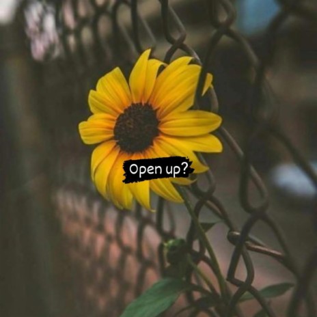 Open up?