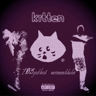 kitten lyrics | Boomplay Music