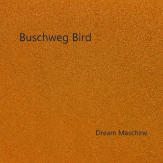 Buschweg Bird