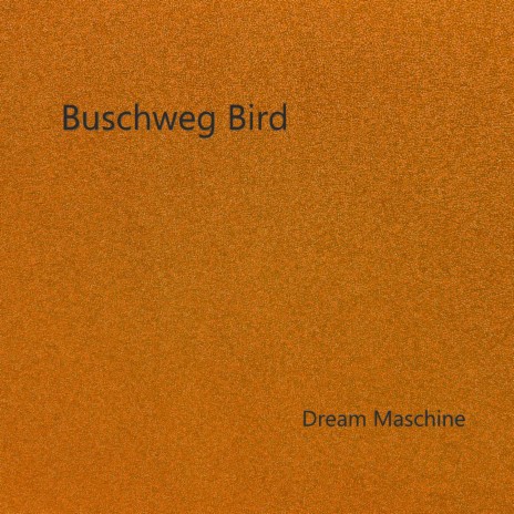 Buschweg Bird | Boomplay Music