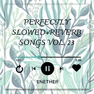 Perfectly Slowed+Reverb Songs Vol. 23