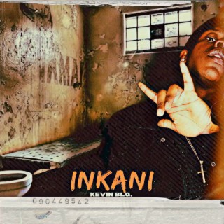 Inkani