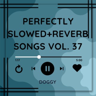 Perfectly Slowed+Reverb Songs Vol. 37