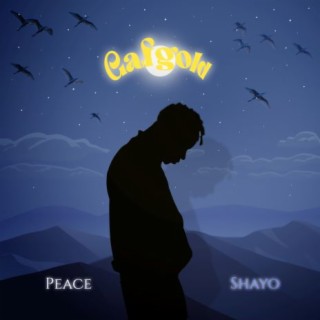 Peace + Shayo