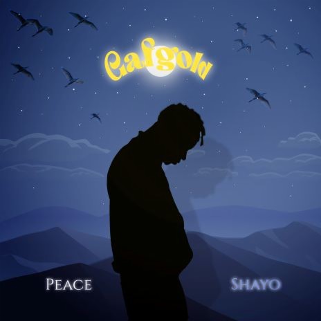 Shayo | Boomplay Music