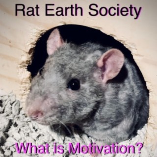 Rat Earth Society