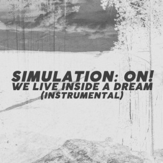 Simulation: On!