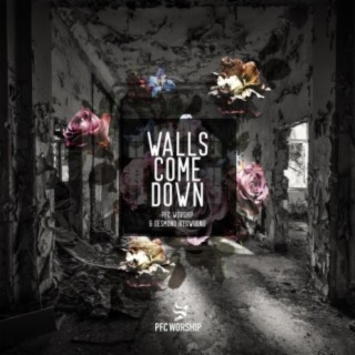 Walls Come Down (feat. Desmond Ikegwuonu)