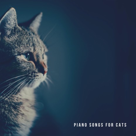 Cat Sleep Music ft. Cat Music & Music For Cats | Boomplay Music