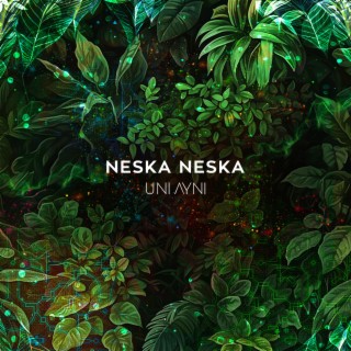 Neska Neska lyrics | Boomplay Music