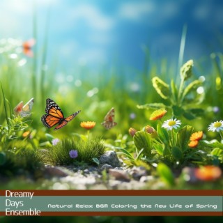 Natural Relax Bgm Coloring the New Life of Spring
