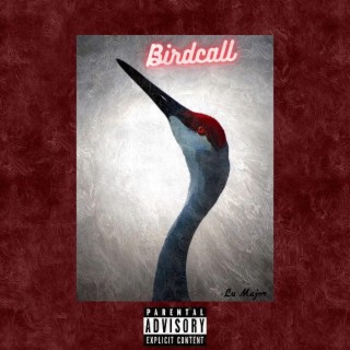 Bird Call lyrics | Boomplay Music