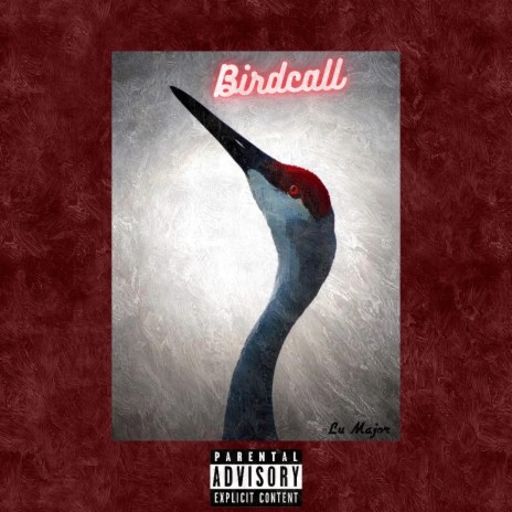Bird Call | Boomplay Music