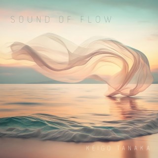 Sound of Flow