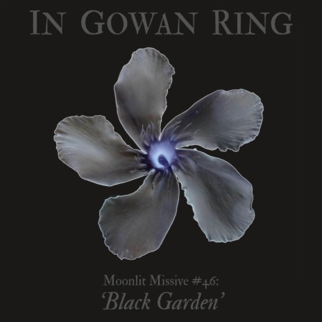 Moonlit Missive #46: 'Black Garden'