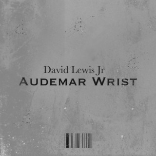 Audemar Wrist