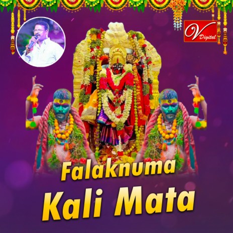 Falaknuma Kali Mata Dj | Boomplay Music