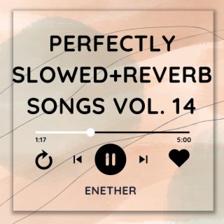 Perfectly Slowed+Reverb Songs Vol. 14