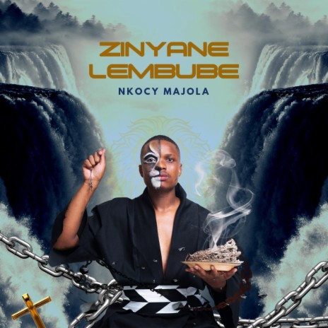 Zinyane LeMbube | Boomplay Music
