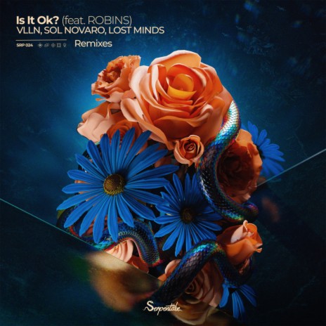 Is It Ok? (Dr. Ushūu Remix) ft. Sol Novaro, Lost Minds, ROBINS & Dr. Ushūu