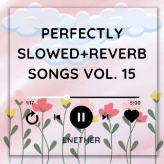 Perfectly Slowed+Reverb Songs Vol. 15