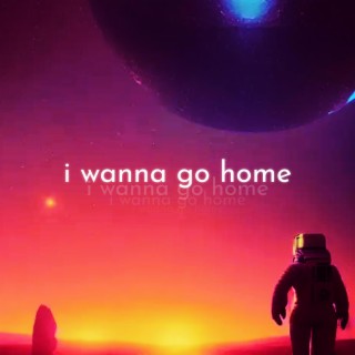I Wanna Go Home lyrics | Boomplay Music