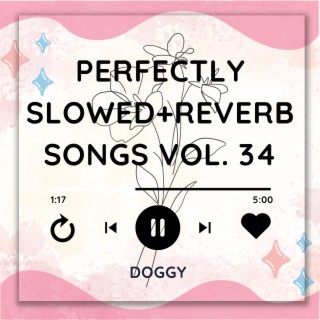 Perfectly Slowed+Reverb Songs Vol. 34