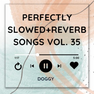 Perfectly Slowed+Reverb Songs Vol. 35