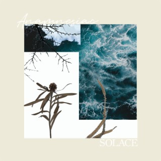 Solace, for the Soulless