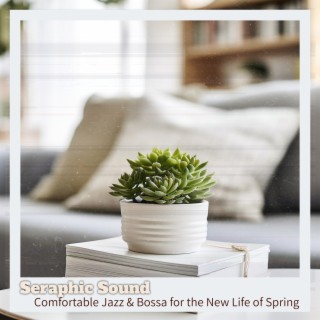 Comfortable Jazz & Bossa for the New Life of Spring