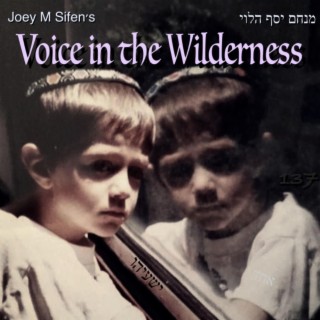 Voice in the Wilderness