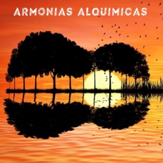 Armonías Alquímicas