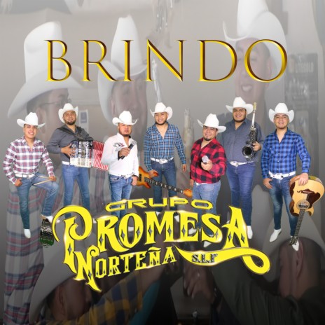 Brindo | Boomplay Music