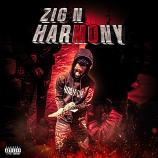 Zig N’ Harmony