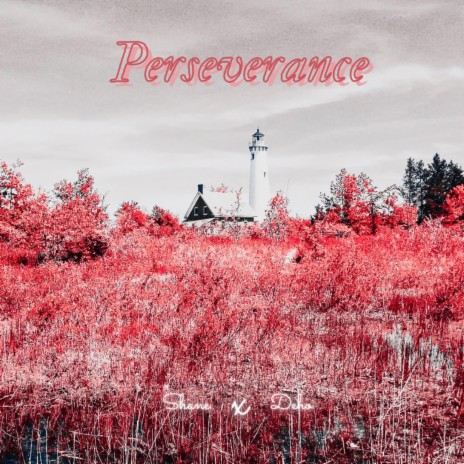 Perseverance ft. deho | Boomplay Music