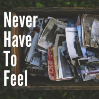 Never Have To Feel