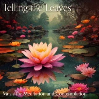 Telling the Leaves (Music for Meditation and Contemplation)