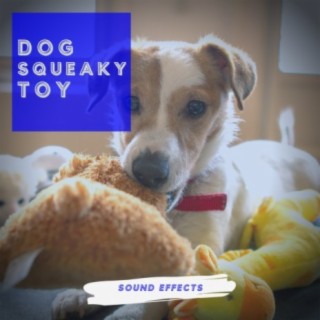 Squeaky toy sound 2025 effect mp3