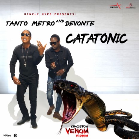 Catatonic | Boomplay Music