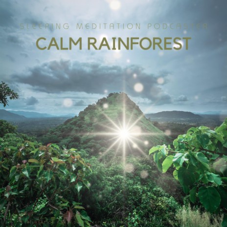 Rainforest Dreamland Meditation | Boomplay Music