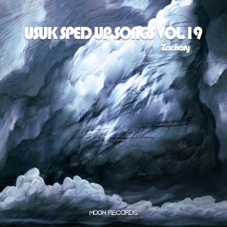 USUK SPED UP SONGS VOL.19