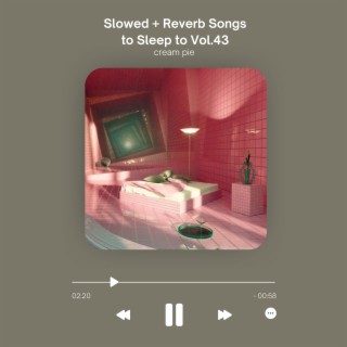 Slowed + Reverb Songs to Sleep to Vol.43