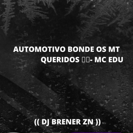 AUTOMOTIVO BONDE OS MT QUERIDOS ft. MANDELÃO FUTURISTA OFC & strong mend | Boomplay Music